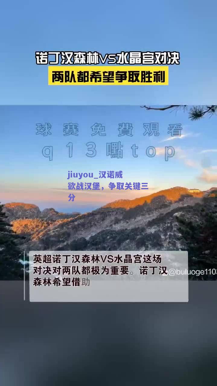 jiuyou_汉诺威欲战汉堡，争取关键三分